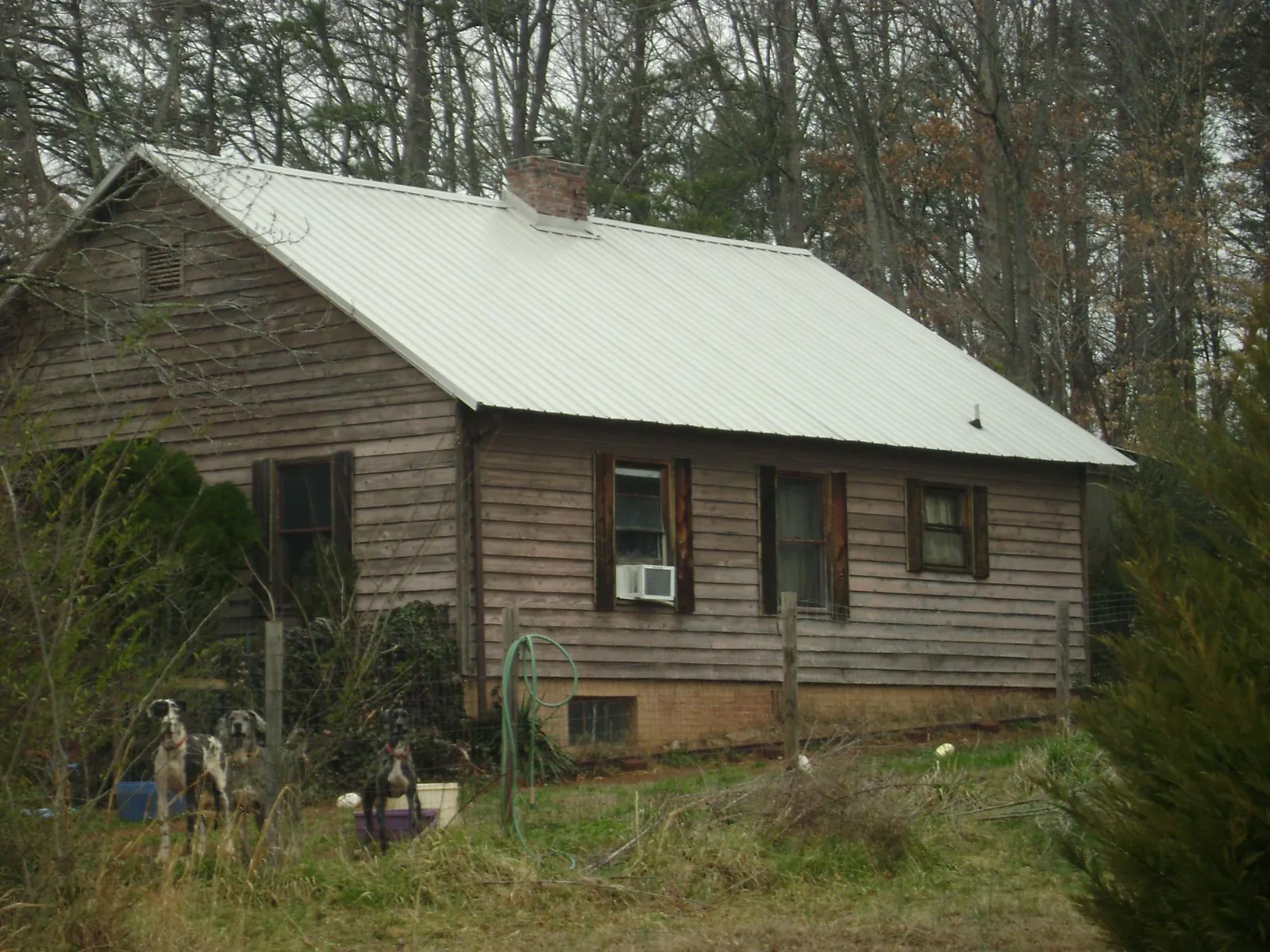 White metal roof on an old wood sided farmhouse, from a Metal Roof Installation job in Cygnet